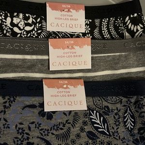 Lane Bryant Cacique Hi Leg Brief